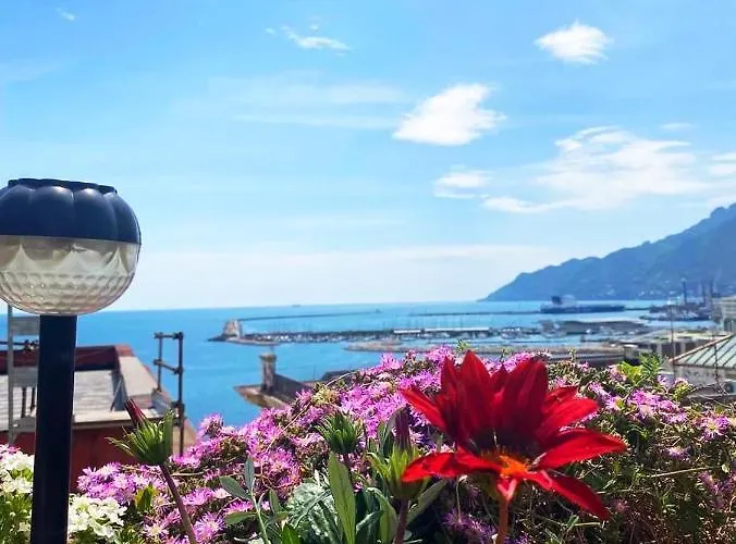 Appartement Prestige